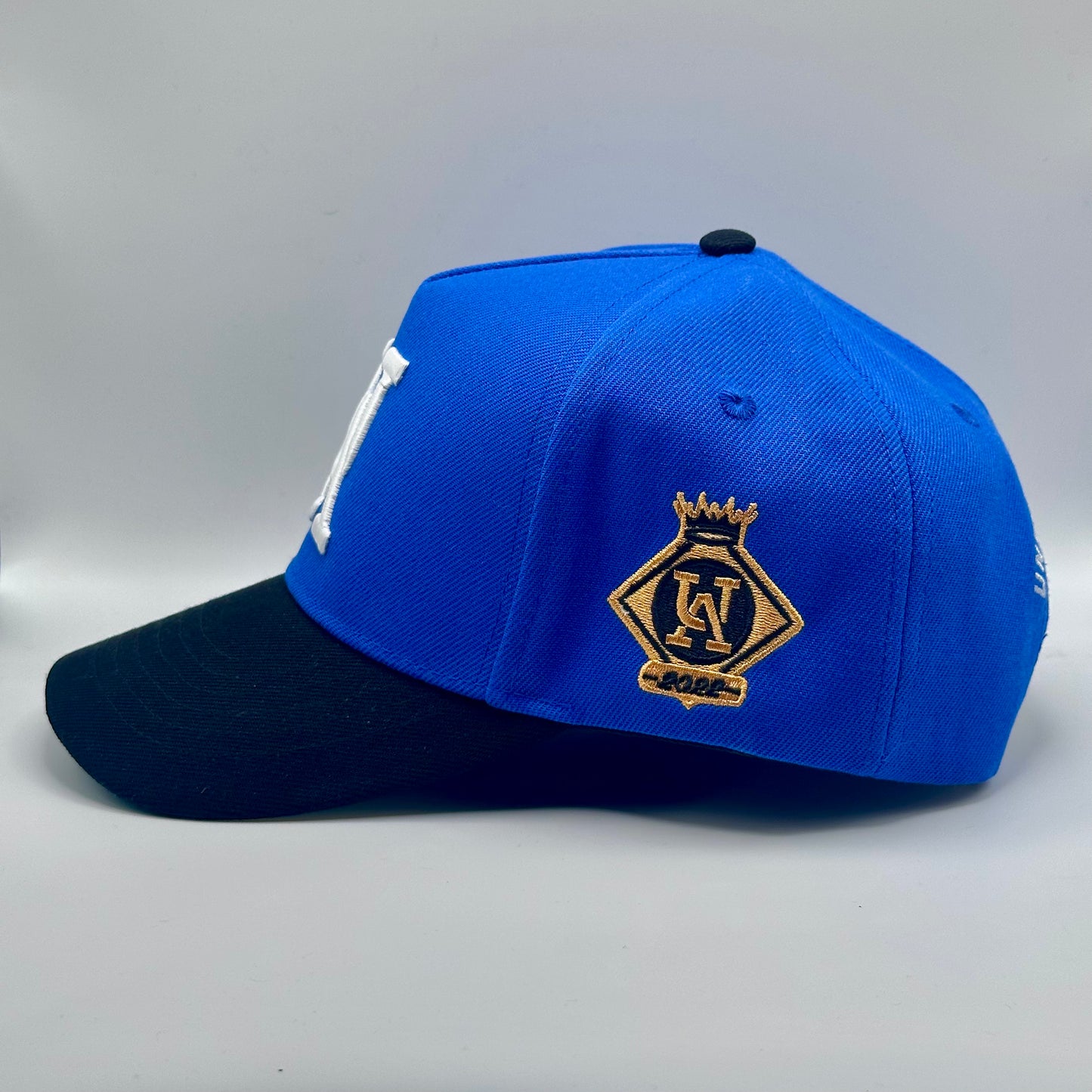Breezy Snapback